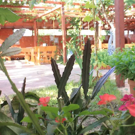 מלון Alba Family Club פרימורסקו