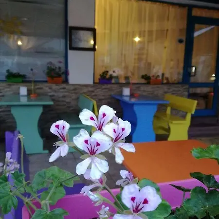 Alba Family Club Отель